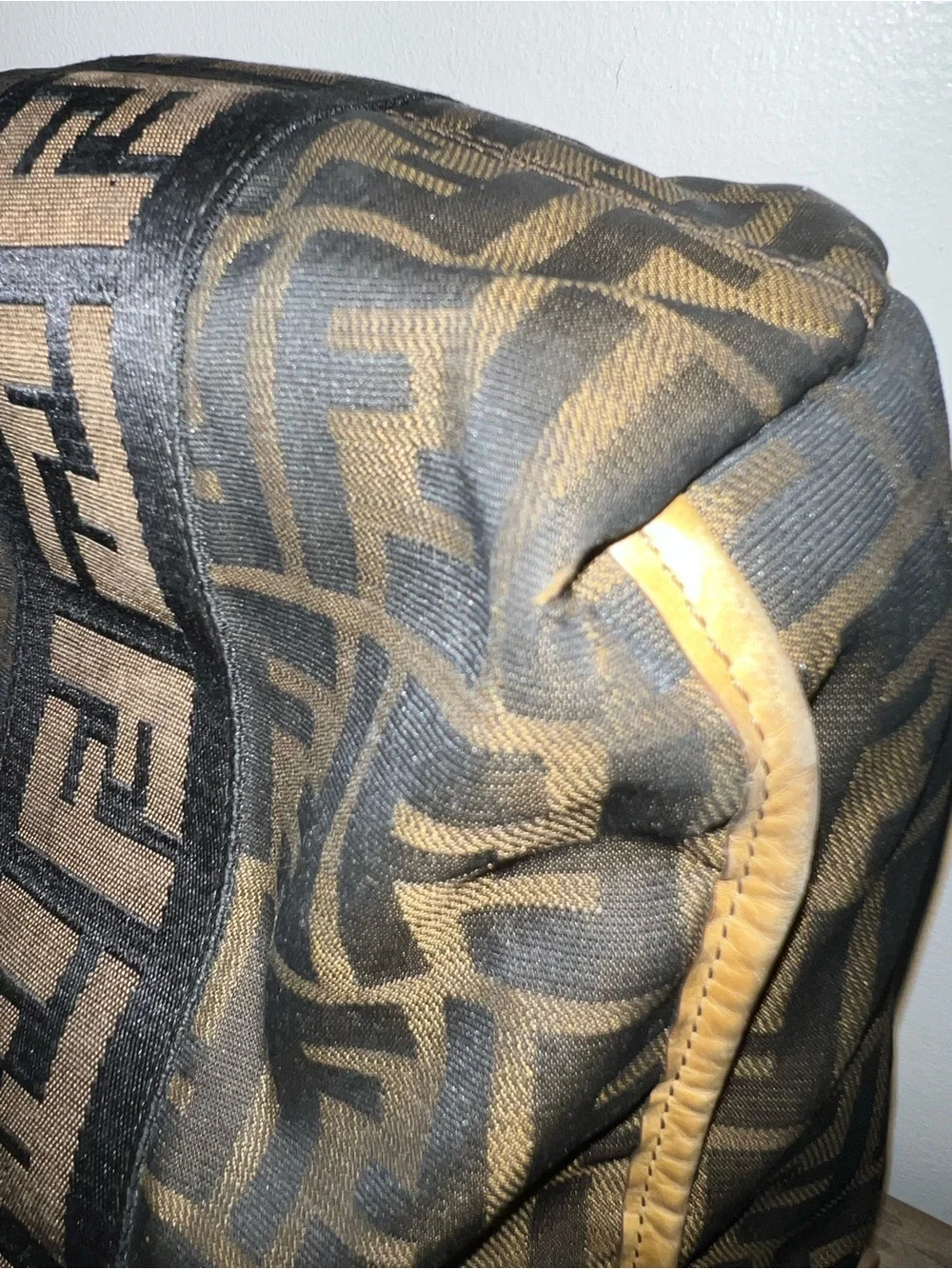 Fendi Zucca Bag
